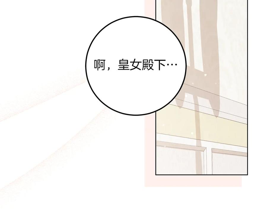 第255页