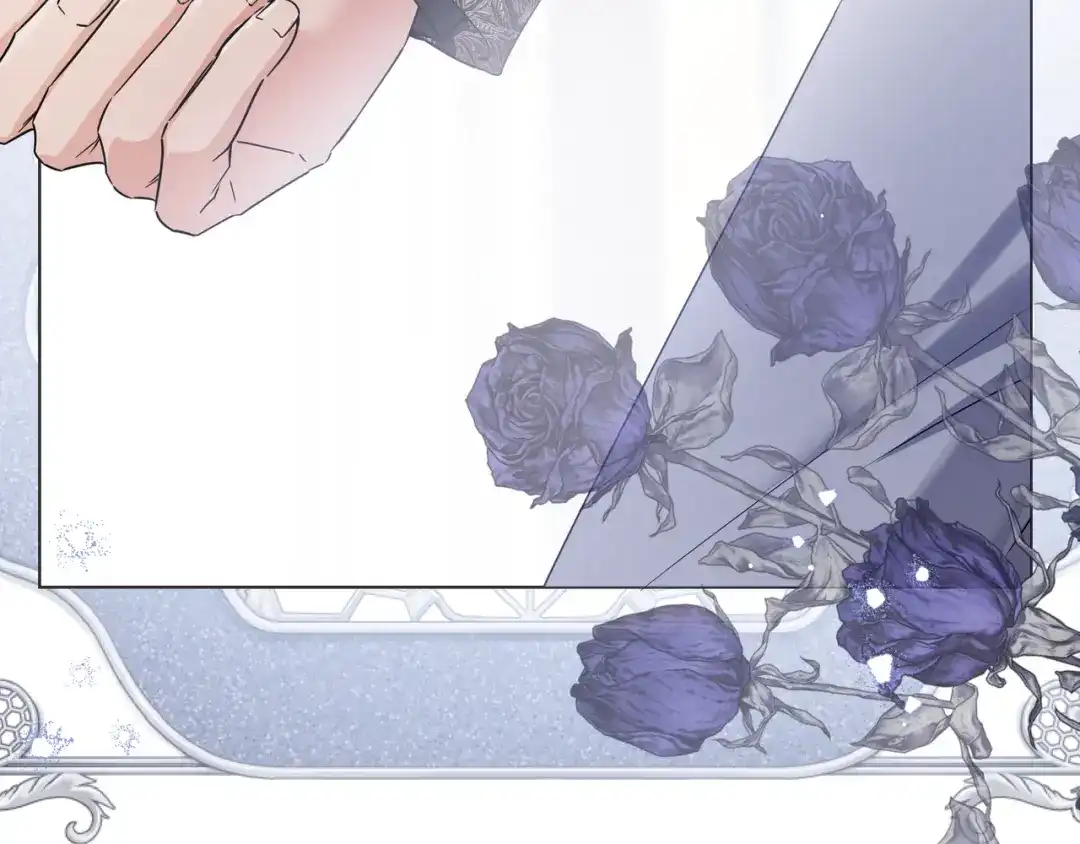 第242页
