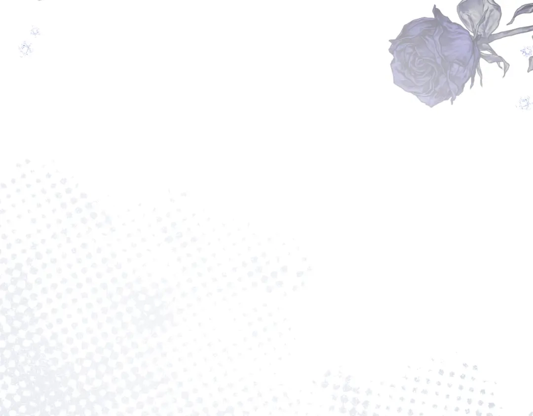 第243页