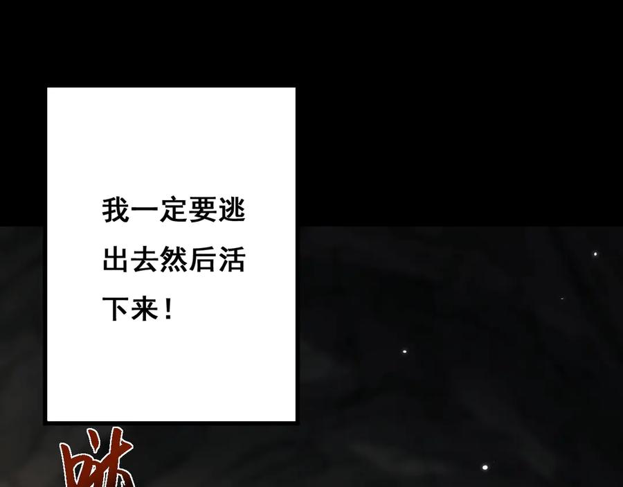 第215页