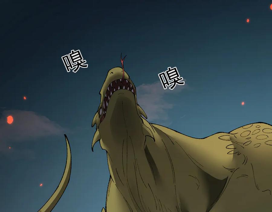 第164页