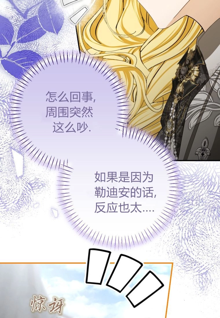 第223页