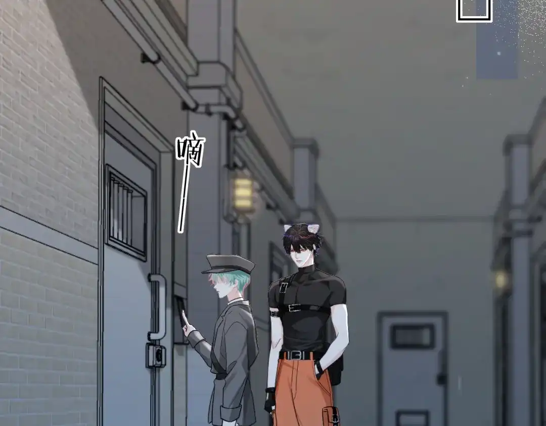 第204页