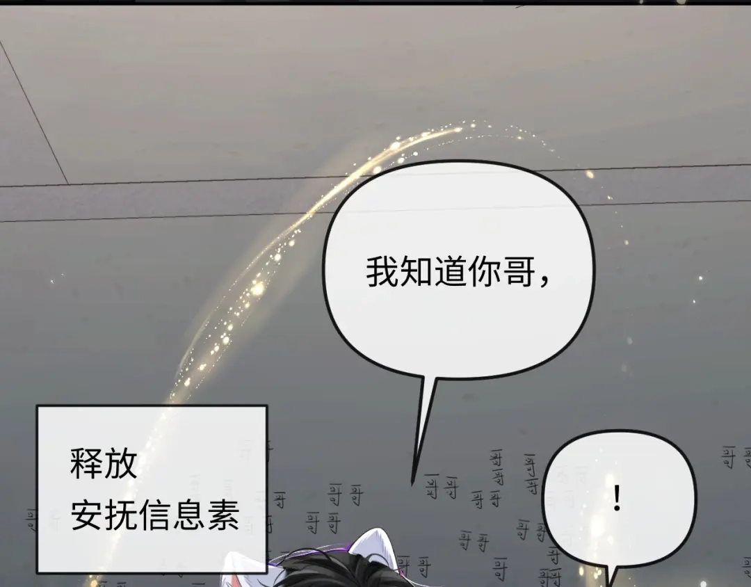 第255页