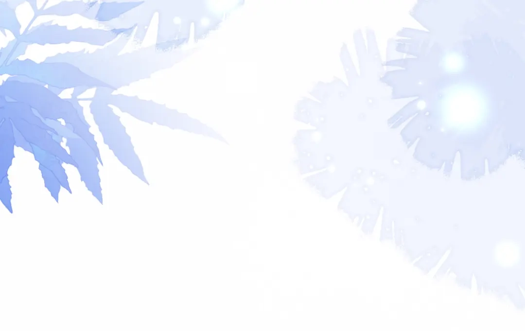 第288页