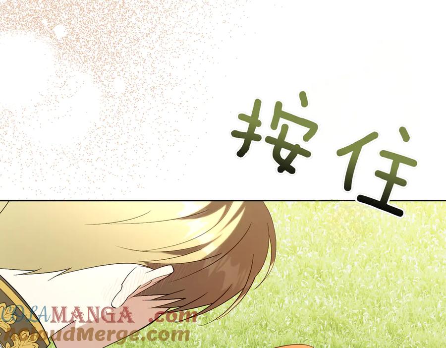 第361页