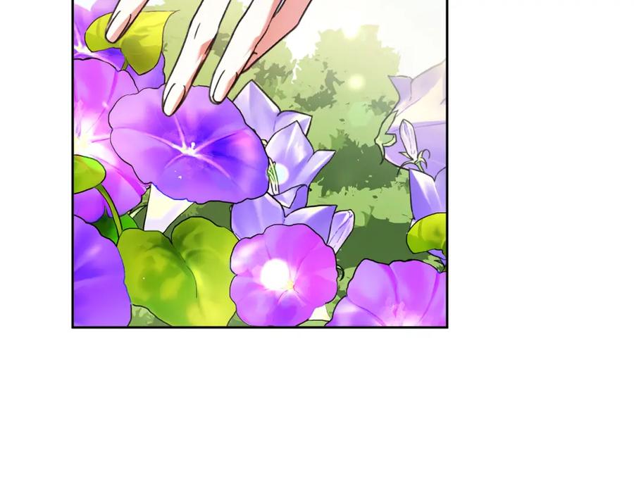 第239页