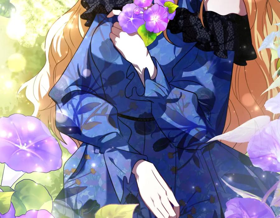 第242页