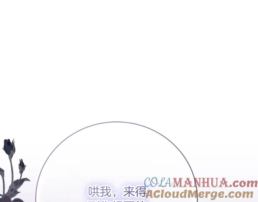第241页