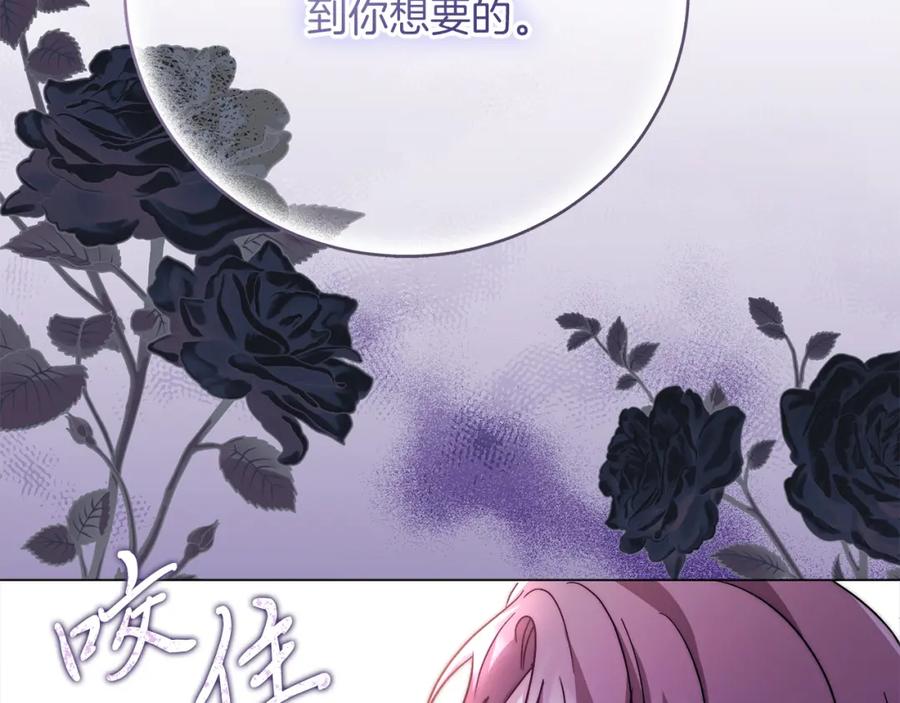 第242页