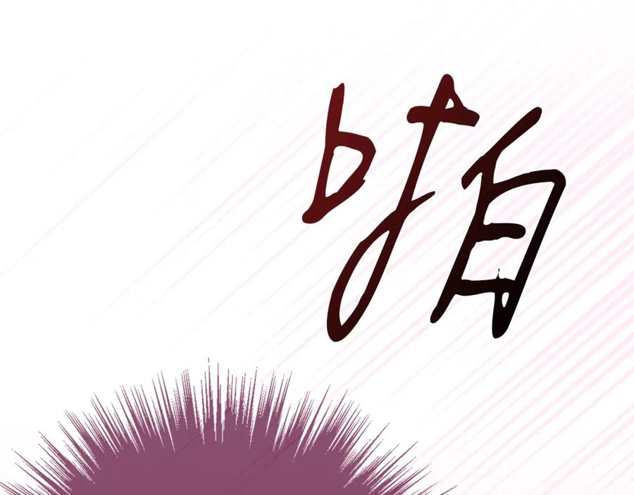 第206页