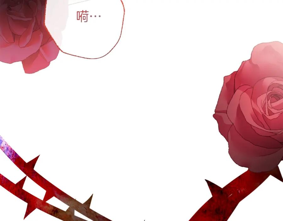 第223页