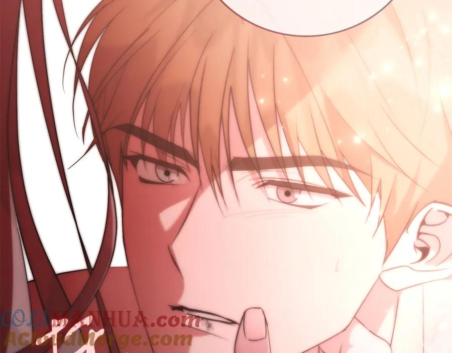 第237页