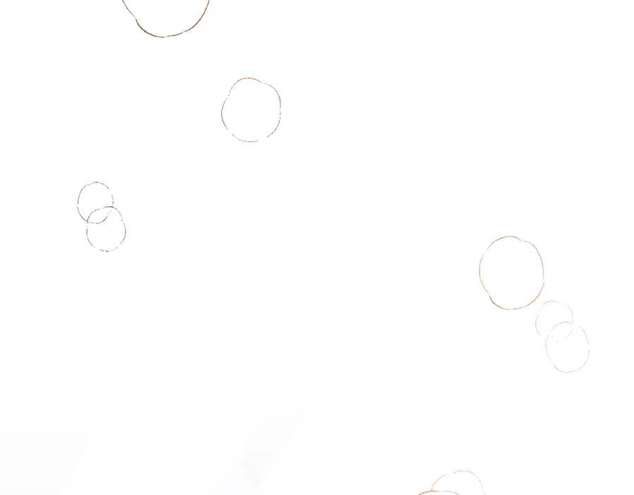 第247页