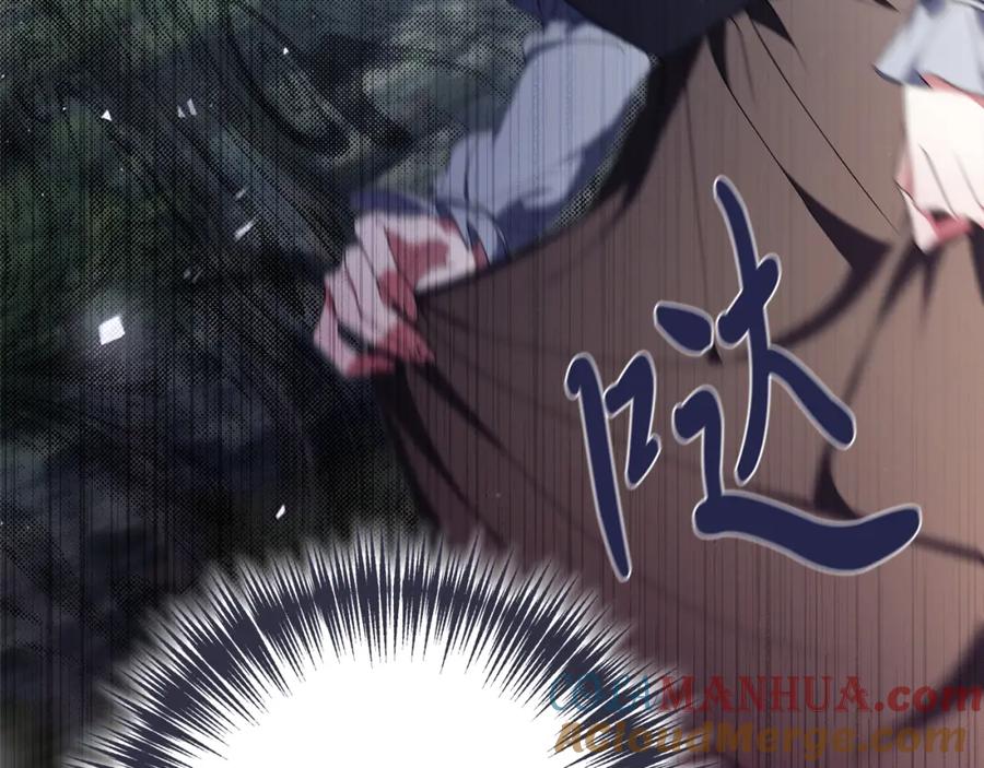 第217页