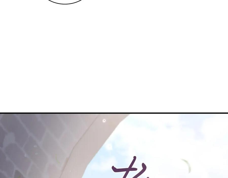 第242页