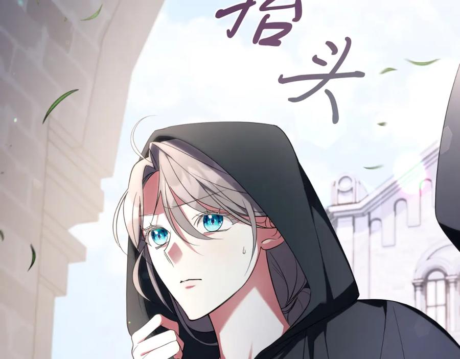 第243页