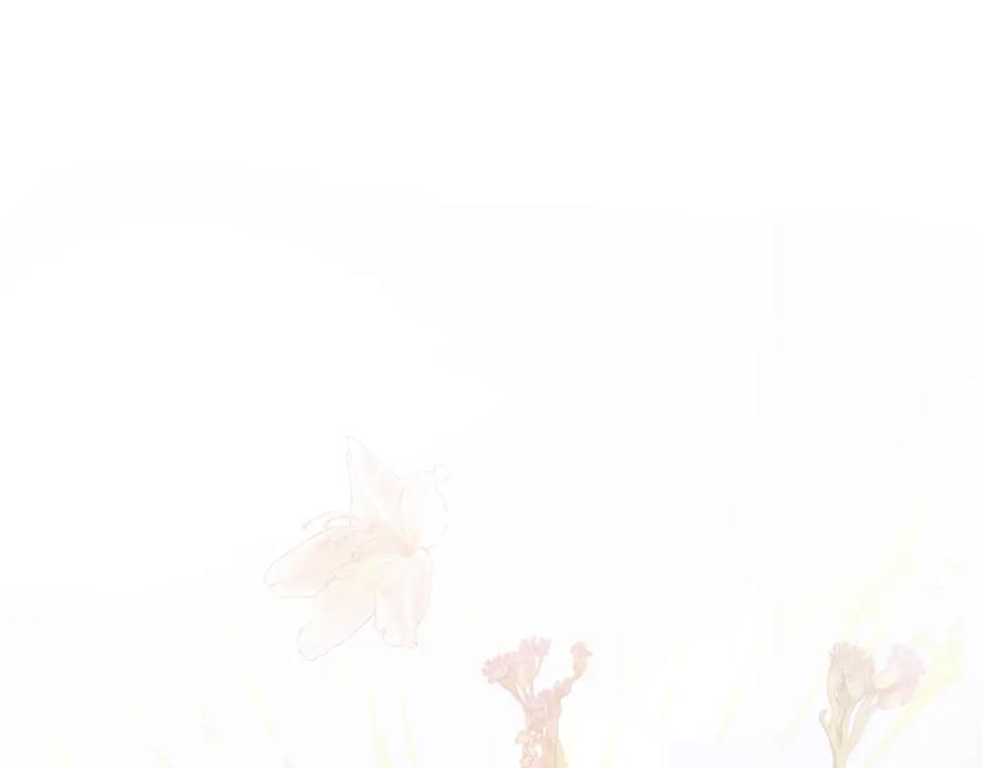 第224页