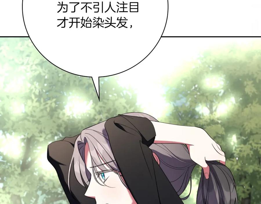 第223页