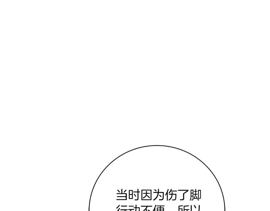 第215页