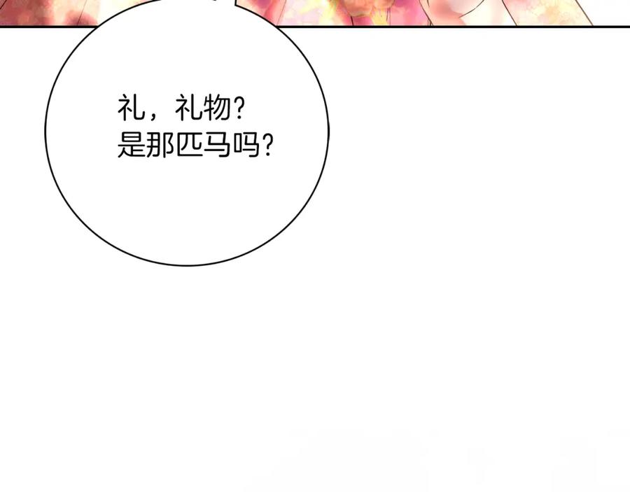 第205页