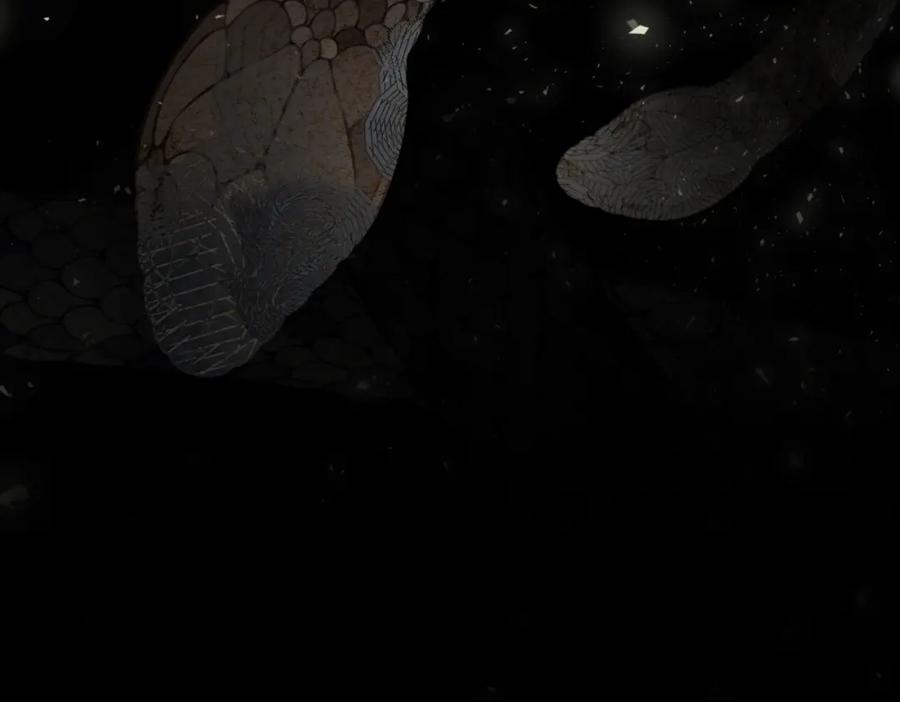 第271页