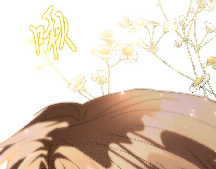 第242页