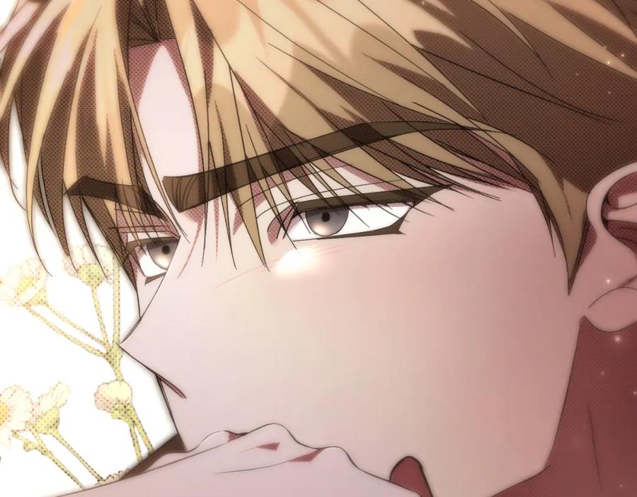 第243页