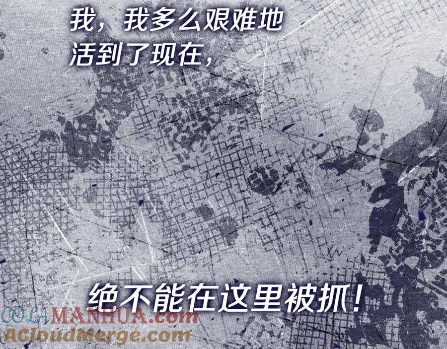 第217页