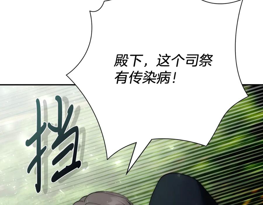 第223页