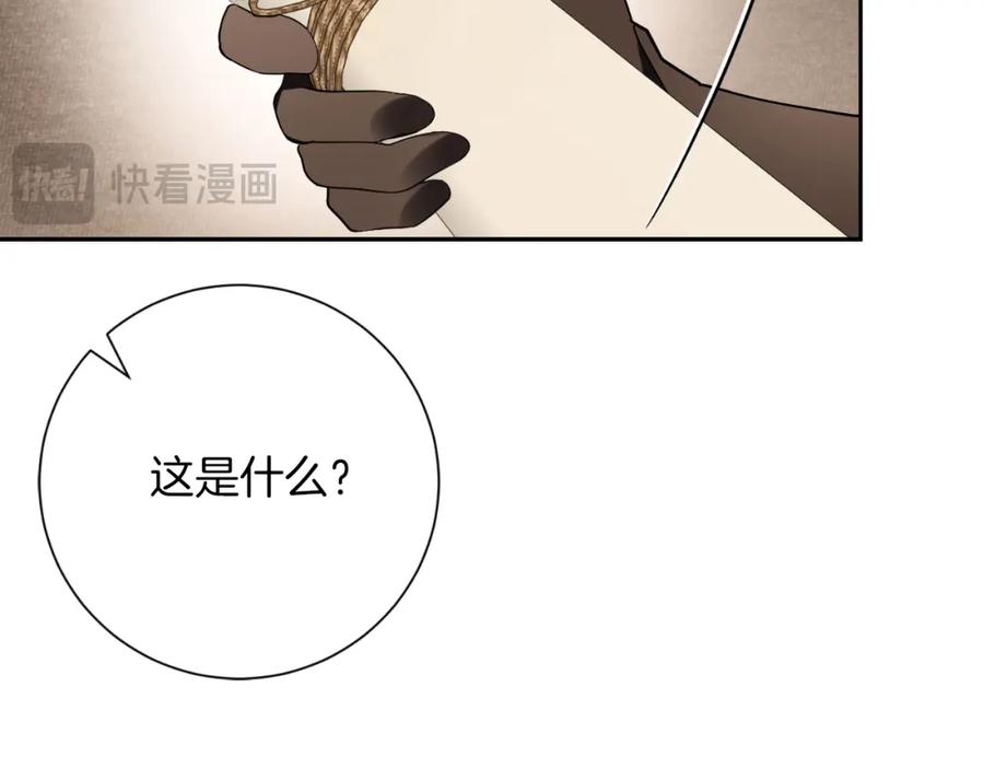 第206页