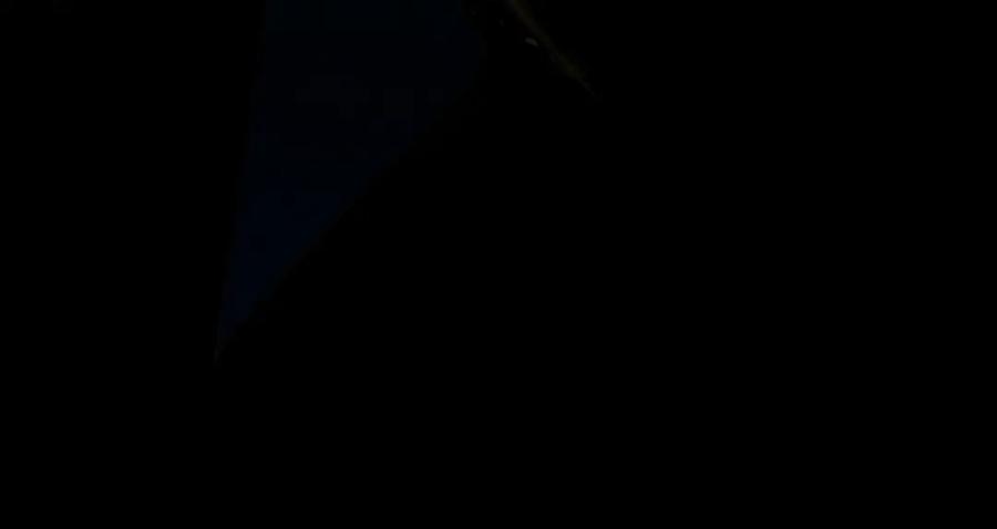 第183页