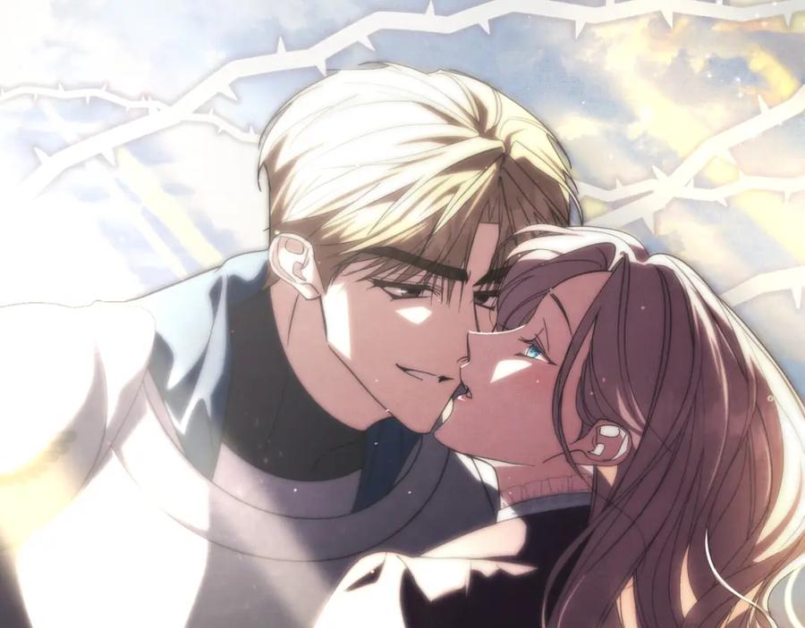 第204页