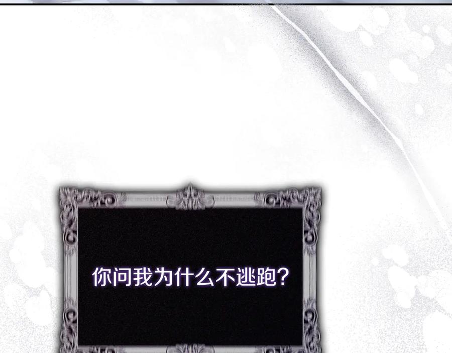 第244页