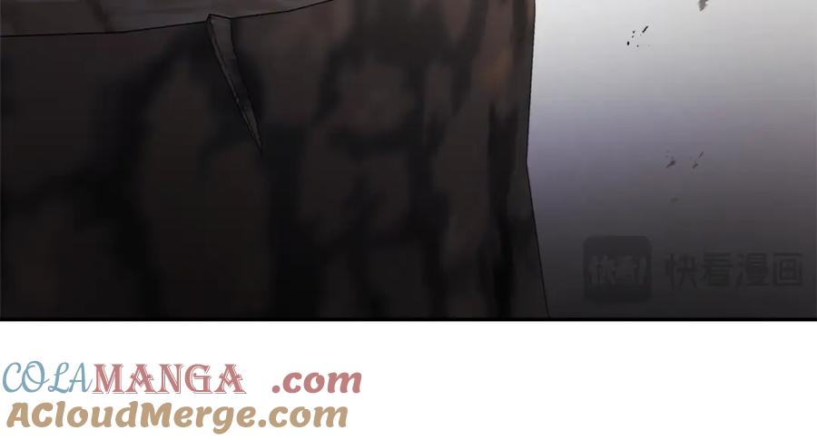第205页