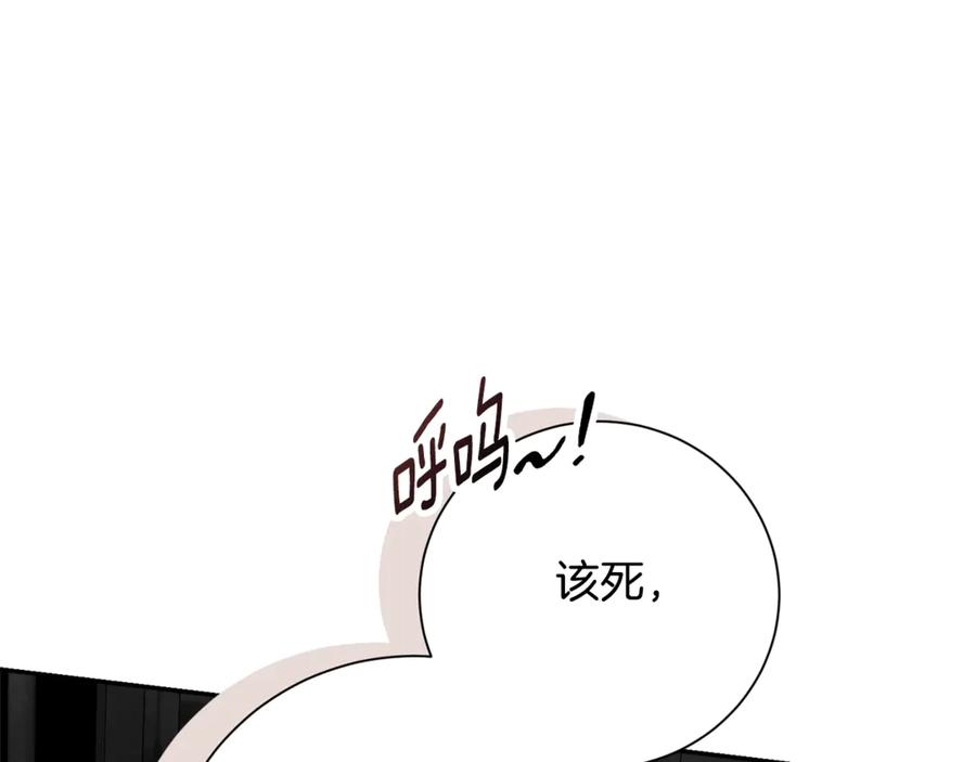 第244页