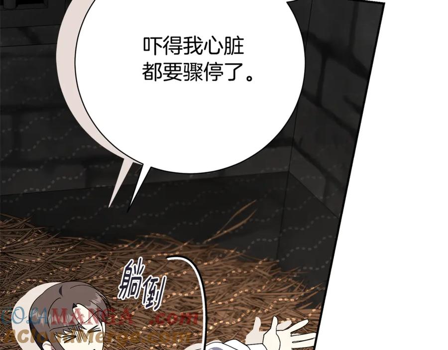 第245页