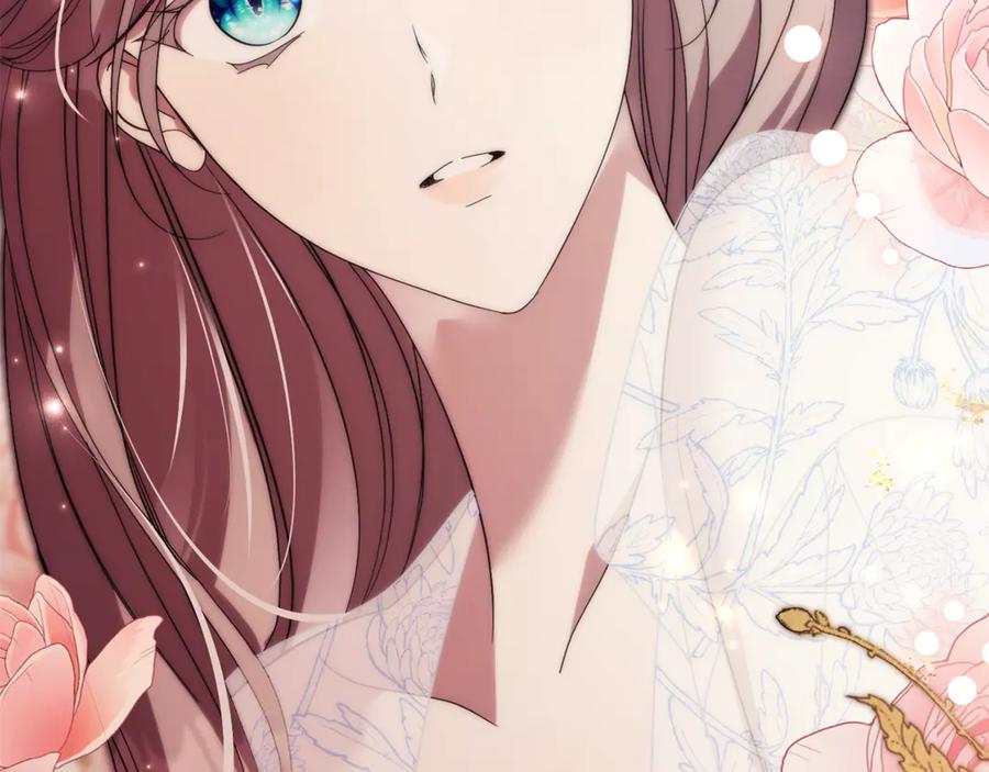 第255页
