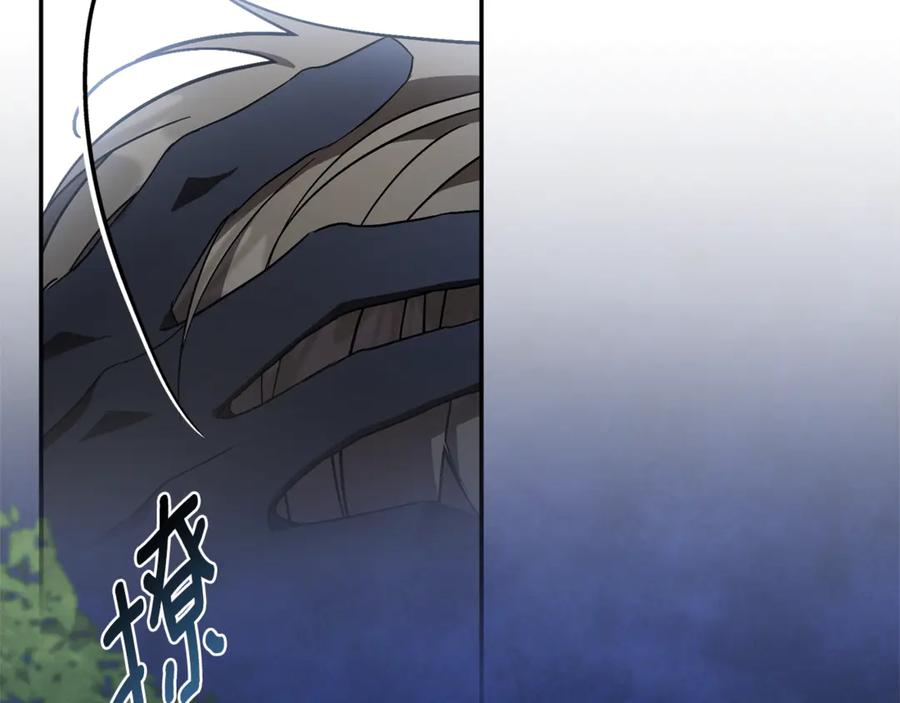 第215页