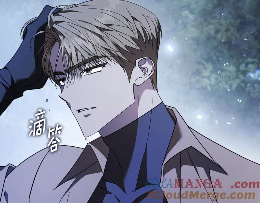 第217页