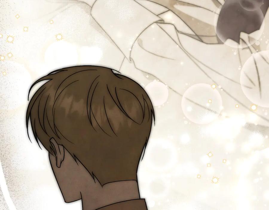第238页