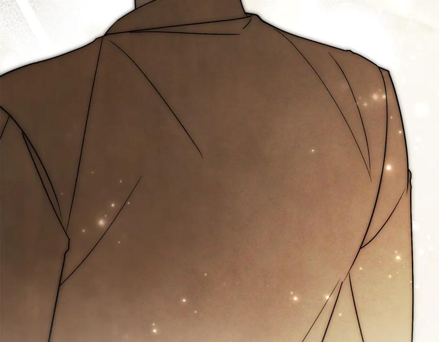 第239页