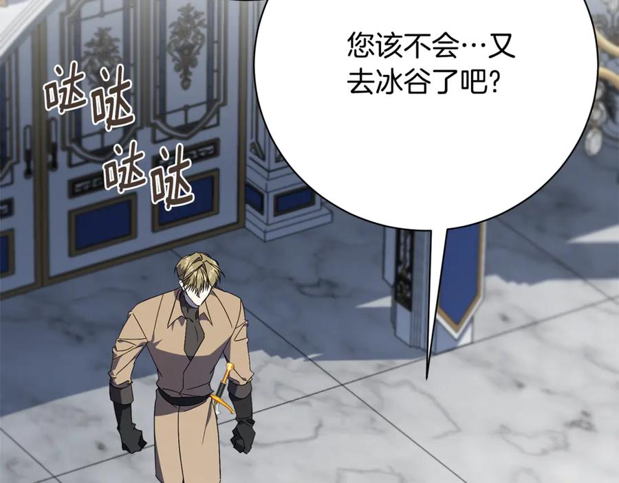 第246页