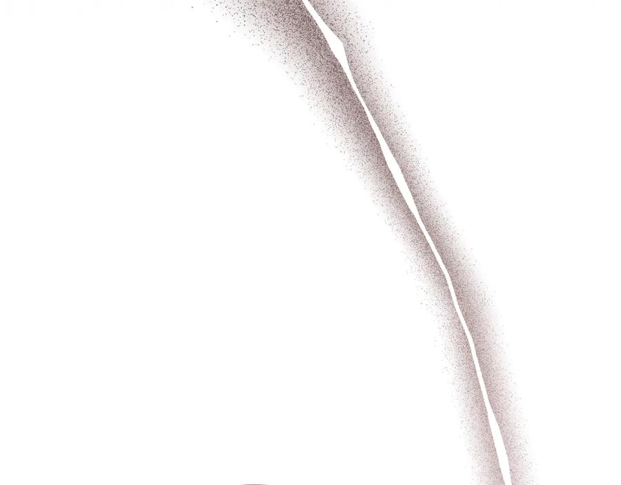 第251页