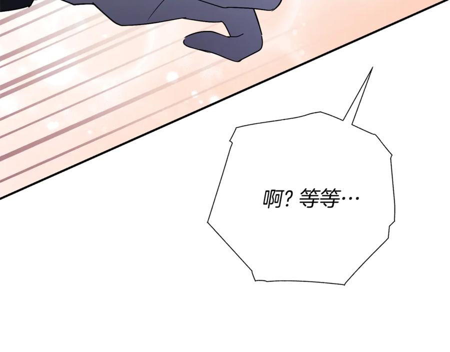 第242页
