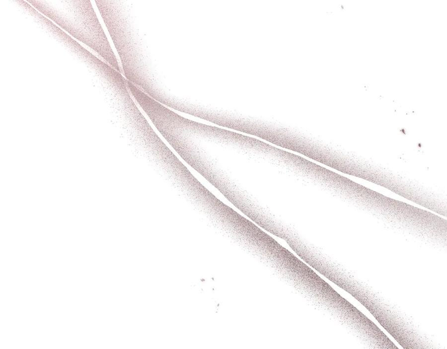 第236页