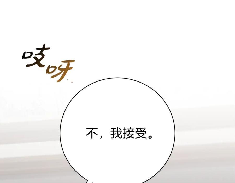 第246页