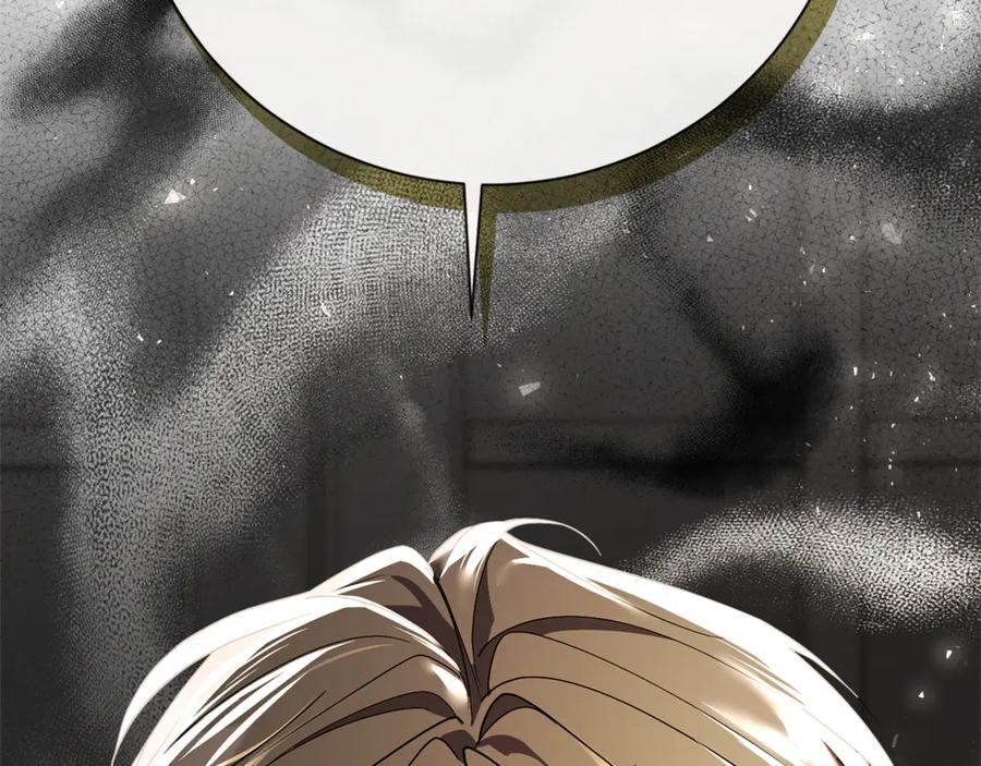 第256页