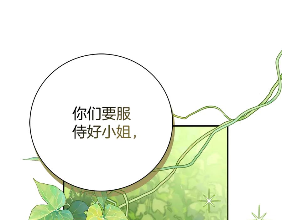 第260页
