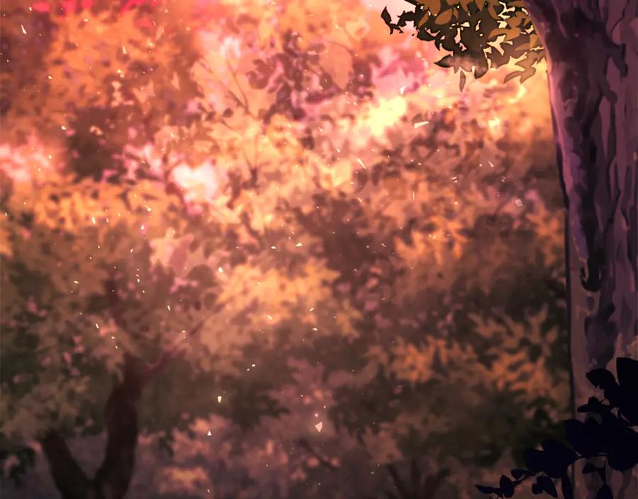 第236页